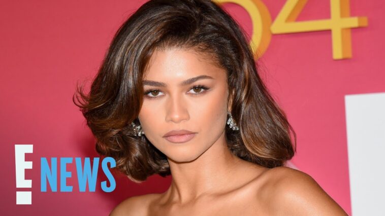 Zendaya's STUNNING Red Carpet Return at 2023 NAACP Image Awards | E! News