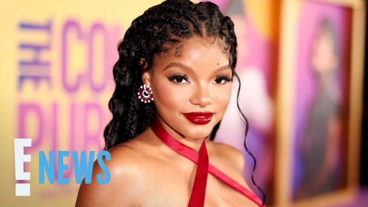 Halle Bailey CLAPS BACK At Haters About “Lying” Over Her Pregnancy | E! News