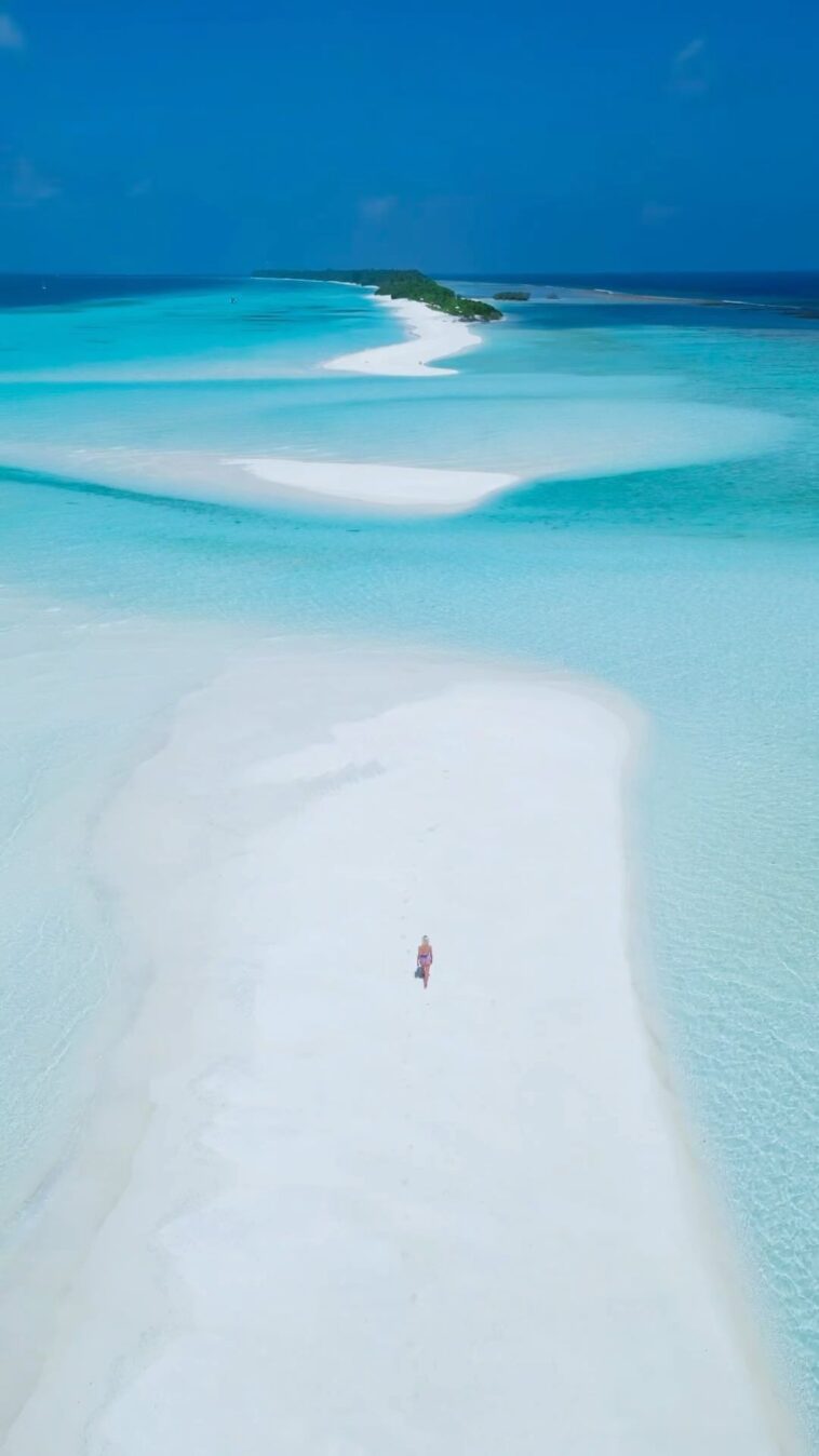 Found the sandbank of my dreams 🩵

 Maldives, Indian Ocean...