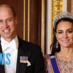 Kate Middleton HEALTH UPDATE as Prince William Cancels Public Appearance | E! News