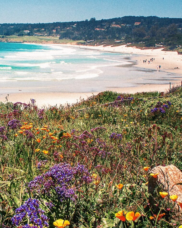 They got real literal when they named this coastal California city. Carmel-By-Th...