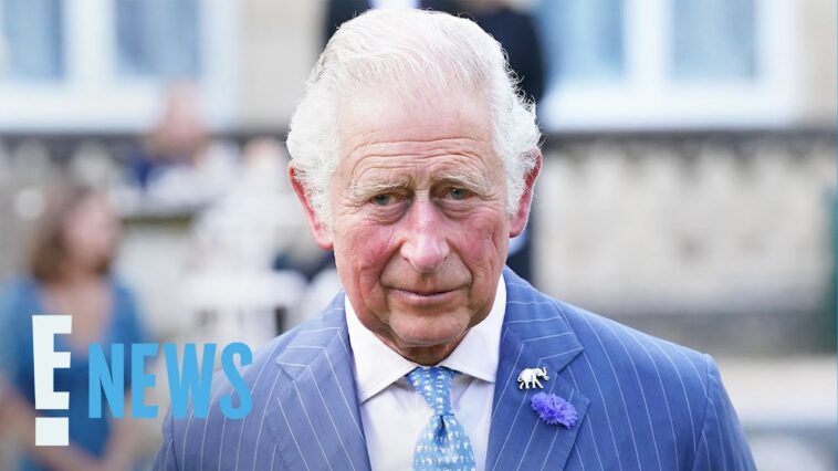 King Charles Shares "Great Sadness" at Missing Royal Appearance | E! News