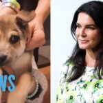 Law & Order's Angie Harmon Says Delivery Driver “Shot & Killed” Her Dog | E! News