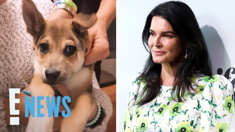 Law & Order's Angie Harmon Says Delivery Driver “Shot & Killed” Her Dog | E! News