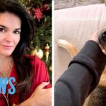 New Details Surrounding Angie Harmon’s Dog Being Killed By a Delivery Driver | E! News